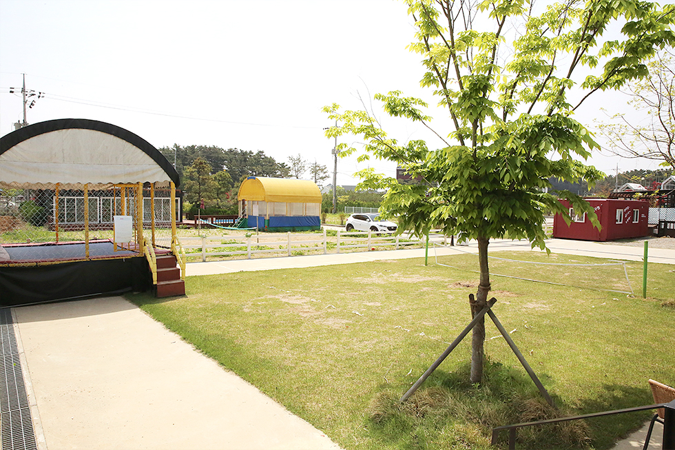 팬션 비쥬얼 썸네일 이미지